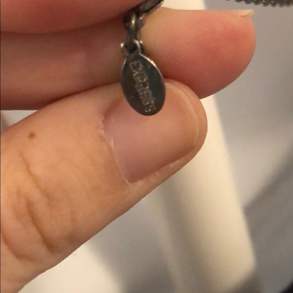 Brand new! Express Layered Necklace - Picture 5 of 5